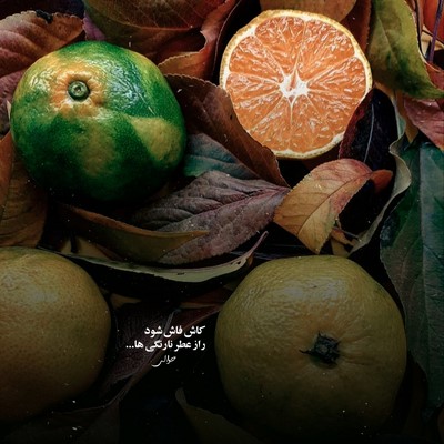 داریوش مادر ببین عروس وطن بی جهاز شد